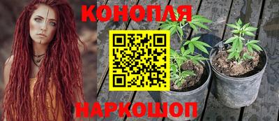 мяу мяу мука Будённовск