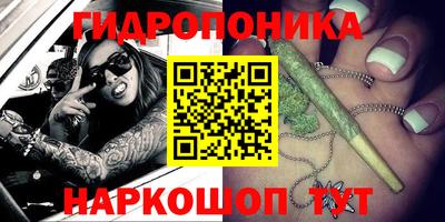 мяу мяу мука Будённовск