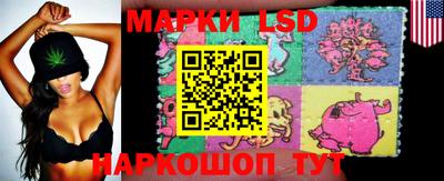 мяу мяу мука Будённовск