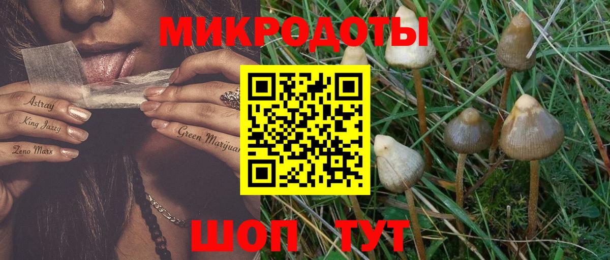 Мончегорск  Псилоцибиновые грибы ЛСД  Вход с VPN 