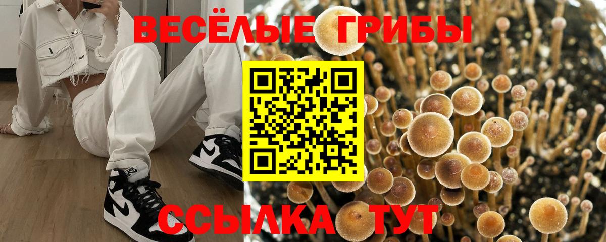 Псилоцибиновые грибы ЛСД Мончегорск